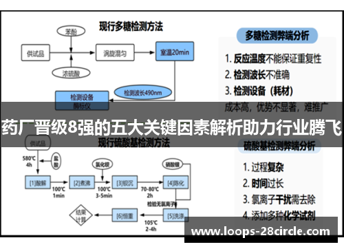 药厂晋级8强的五大关键因素解析助力行业腾飞