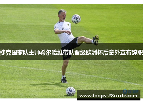 捷克国家队主帅希尔哈维带队晋级欧洲杯后意外宣布辞职 捷克国家队主帅希尔哈维带队晋级欧洲杯后意外宣布辞职