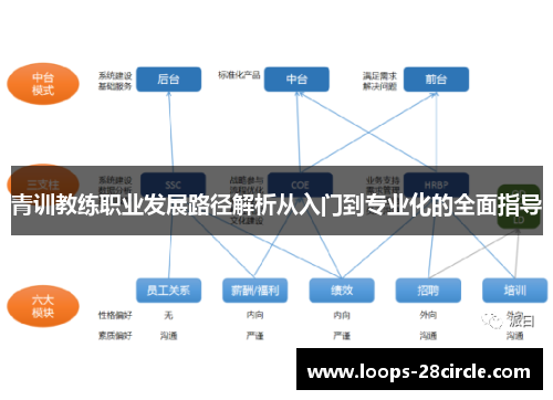 青训教练职业发展路径解析从入门到专业化的全面指导